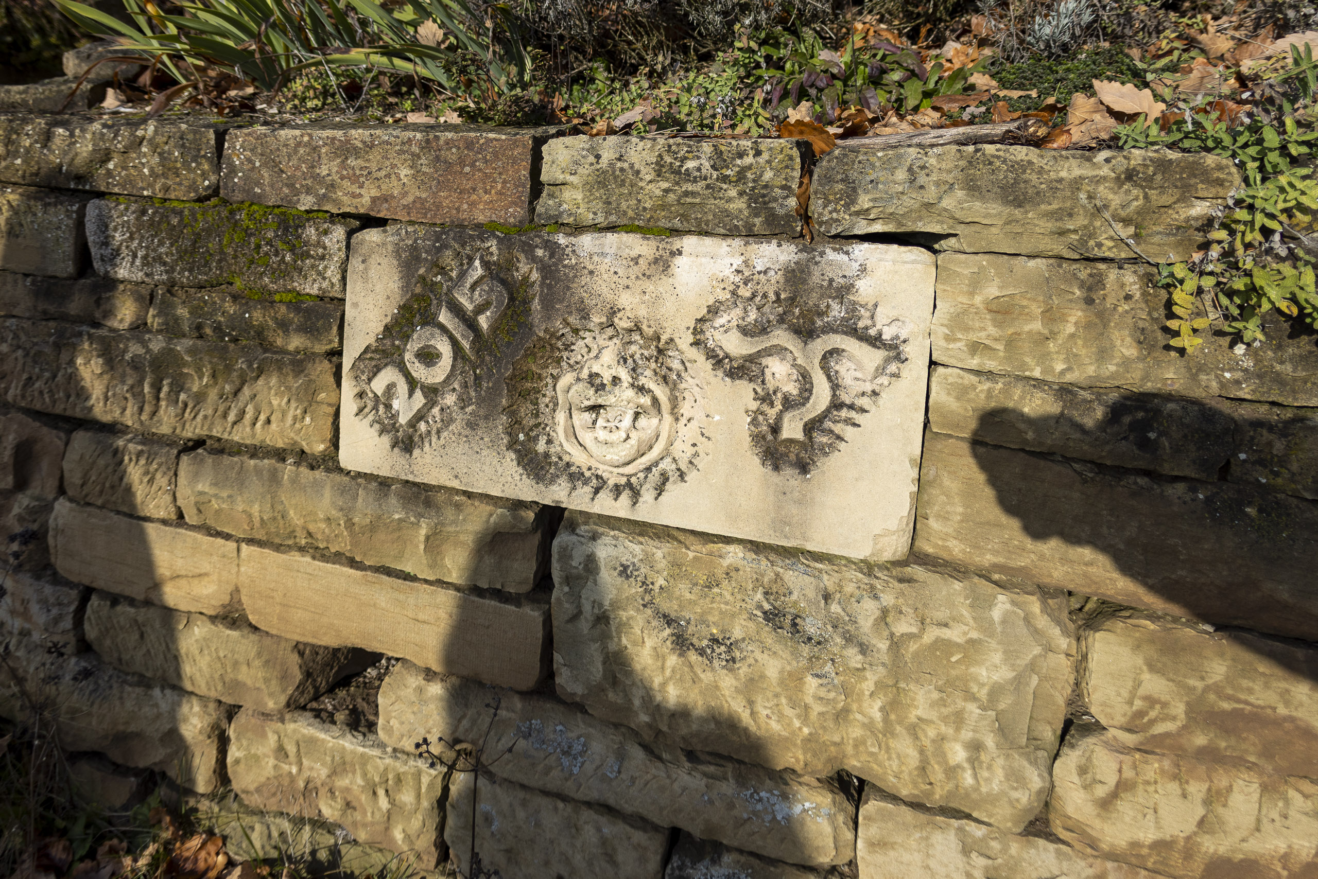 20251129115555 R5D 5452